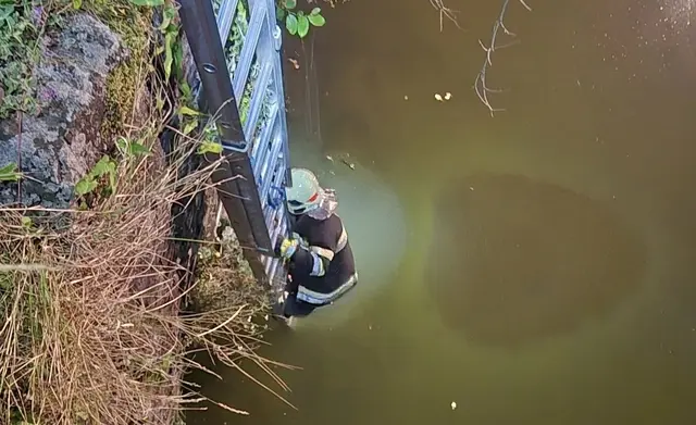 Einsatz einer Leiter zur Rettung der Katze. | Foto: FF Friesach