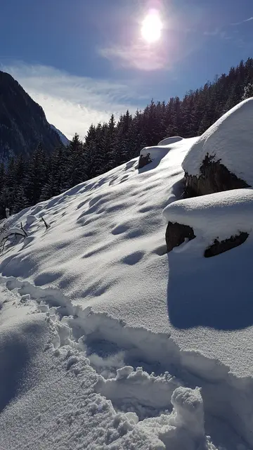 Auch im Winter ist der Naturfriedhof für den Besuch offen. | Foto: Gasthof Friedburg