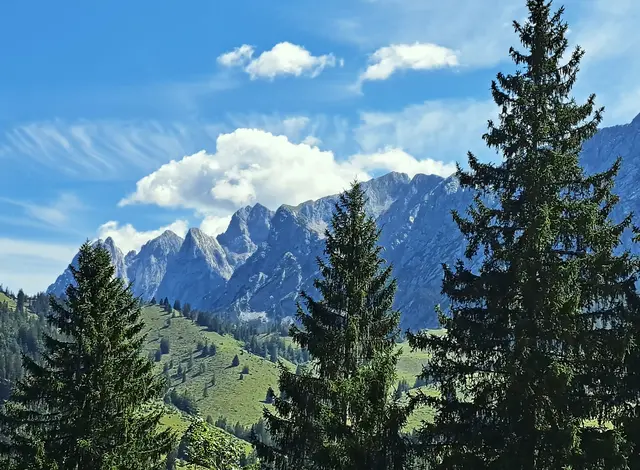 Panorama "Wildes Kaisergebirge" | Foto: © Friedl Schwaighofer