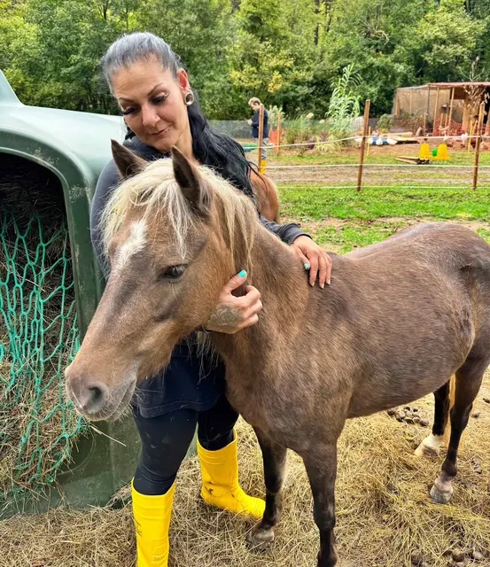 Die Stiftung Común mit Sitz im Bezirk Gmünd sammelte Spenden für die von der Flut Betroffenen. Darunter nicht nur Menschen, sondern auch Pferde. | Foto: Común