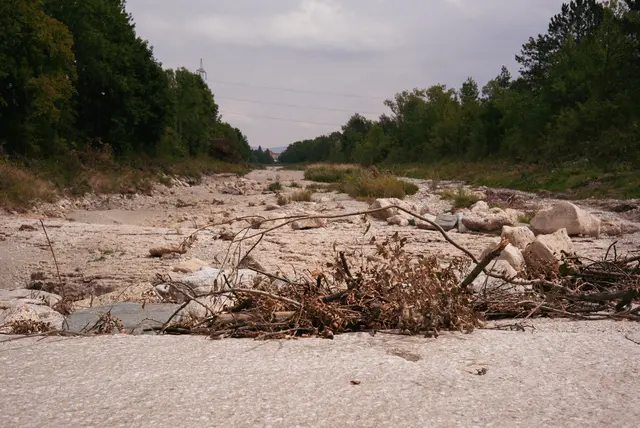 Derartiges Geäst könnte zu Verklausungen führen – fürchtet zumindest der eine oder andere Spaziergänger. | Foto: Santrucek