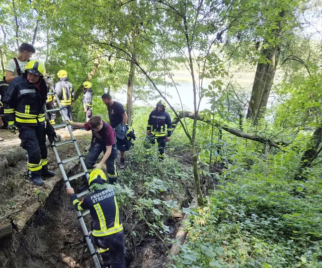 Viele Einsatzkräfte waren bei einer Menschenrettung im Bezirk Amstetten zugange. | Foto: Bfkdo Amstetten