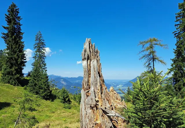 Foto: © Friedl Schwaighofer