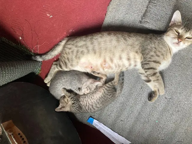 Foto: Stefan Liebhart