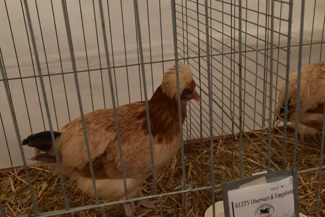 Foto: Michael Strini