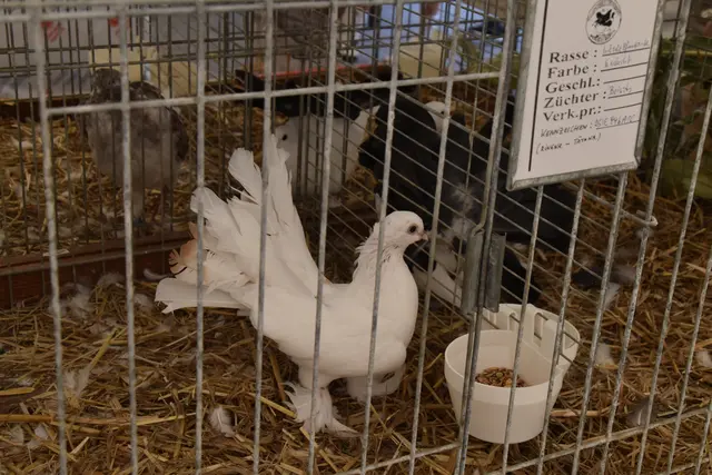 Foto: Michael Strini