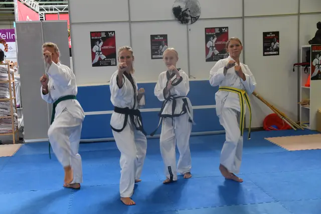 YU Taekwondo Oberwart ist erstmalig bei der Inform Oberwart dabei. | Foto: Michael Strini