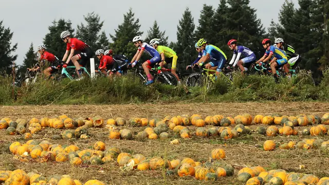 Zum Abschluss der Rennrad-Saison ruft der Arbö Wels am 14. September wieder zum Nachwuchsrennen in Steinhaus auf.  | Foto: Radclub Wels