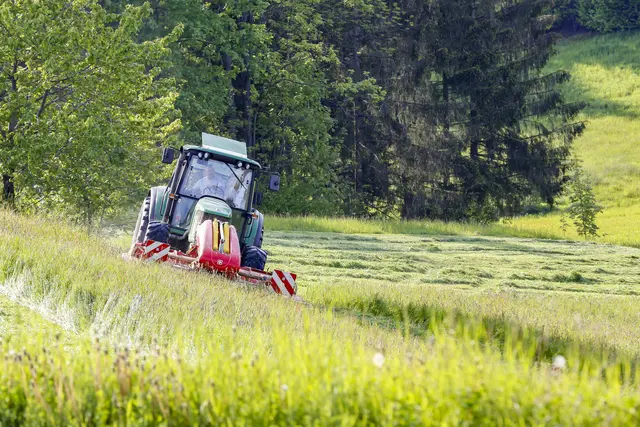 Foto: Fotografik Bruno Haneder