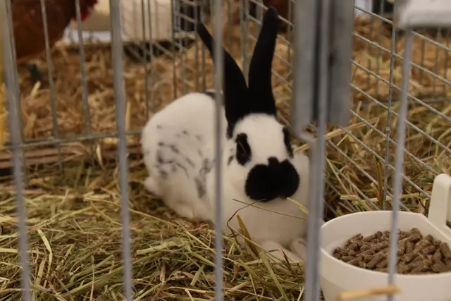 Foto: Michael Strini