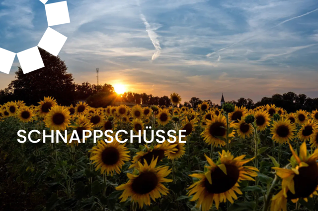 Der August zeigt sich in unserer Region von seiner vielseitigen Seite und lädt mit Sommerlicht, blühenden Wiesen und klaren Himmelstagen zum Entdecken ein. | Foto: Hannelore Tiller/Mein Bezirk