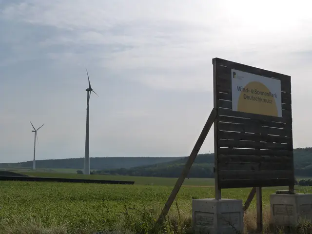 Foto: Vanessa Wittmann