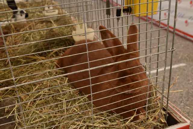 Foto: Michael Strini