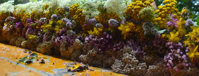 Foto: © Schwaighofer