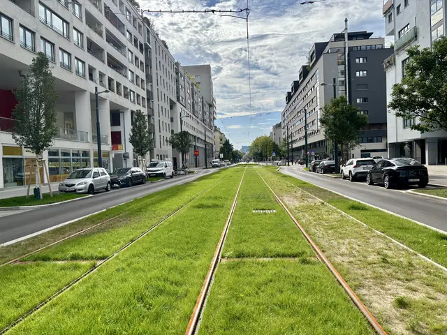 Foto:  Marlene Graupner/MeinBezirk