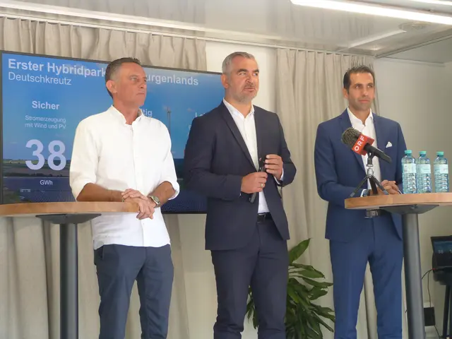 Foto: Vanessa Wittmann