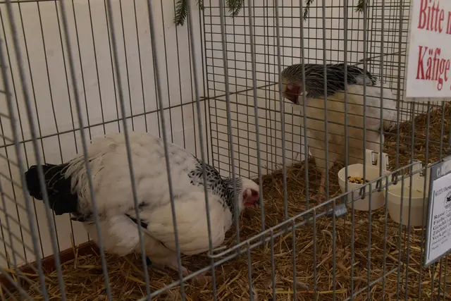 Foto: Michael Strini