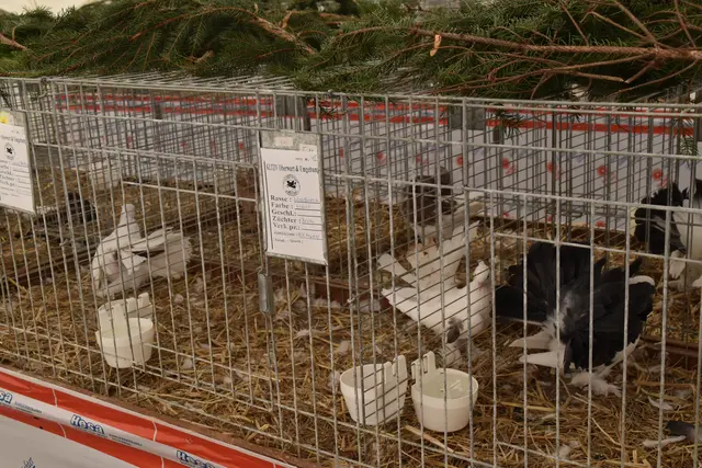 Foto: Michael Strini