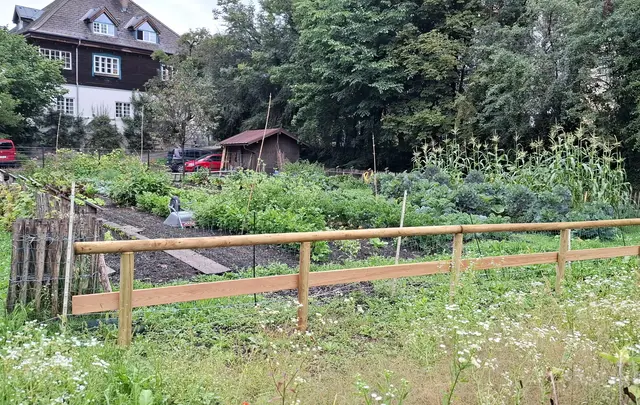 Die "Stadtwurzler" mit ihrem beeindruckenden Gemüsegarten. | Foto: Josef Wind