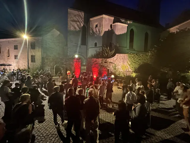 Beste Stimmung beim Ferien-Closing von Musik am Wasser auf der Ybbser Donaulände – rund 400 Besucher waren dabei. | Foto: Andreas Mistelberger-Obermberger