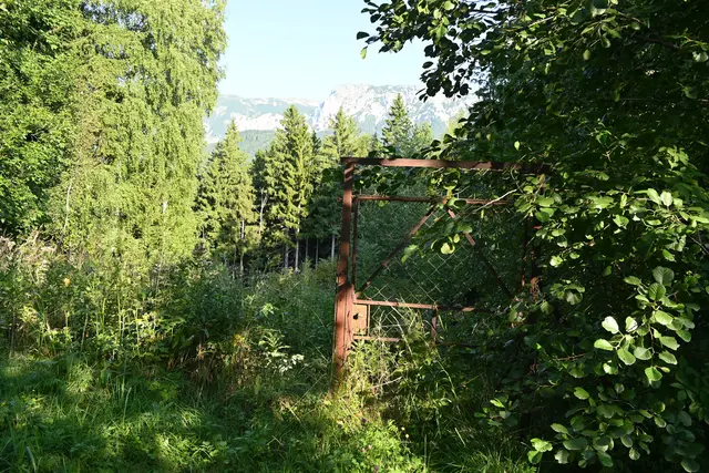 Da blieb nur ein rostiges Türl von einem Zaun