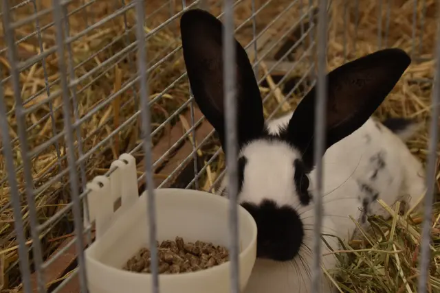 Foto: Michael Strini