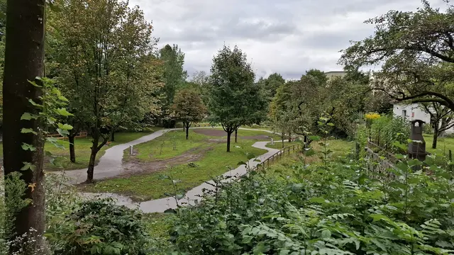 Der "neue" Forstgarten mitten in der Altstadt. | Foto: Josef Wind