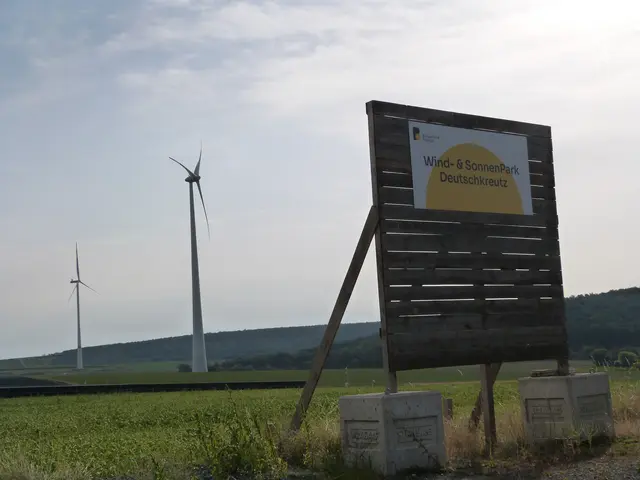 Foto: Vanessa Wittmann