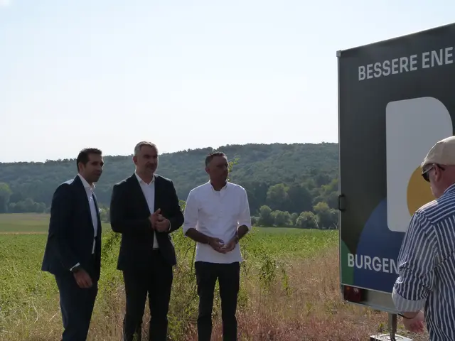 Foto: Vanessa Wittmann