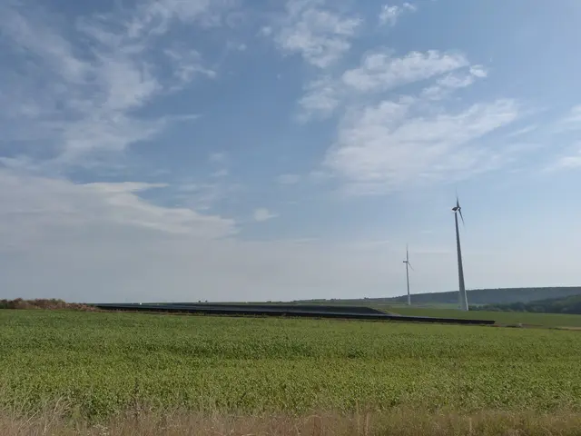 Foto: Vanessa Wittmann