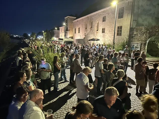Beste Stimmung beim Ferien-Closing von Musik am Wasser auf der Ybbser Donaulände – rund 400 Besucher waren dabei. | Foto: Andreas Mistelberger-Obermberger