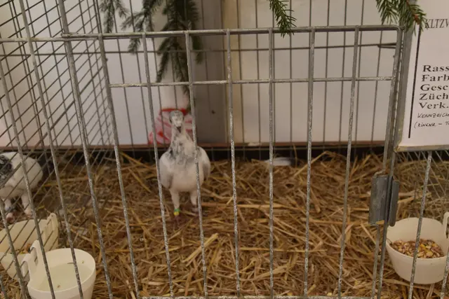 Foto: Michael Strini