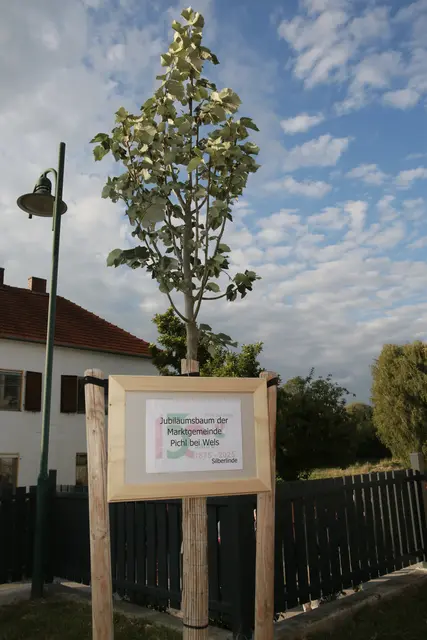 Foto: Gemeinde Pichl