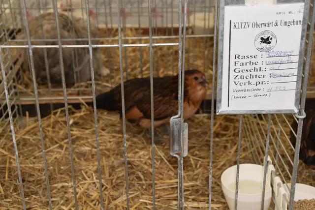 Foto: Michael Strini