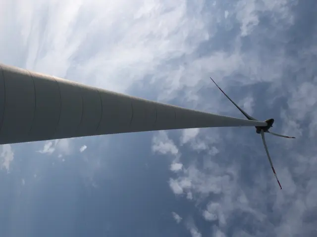 Foto: Vanessa Wittmann