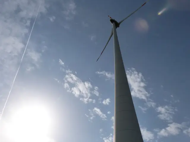 Foto: Vanessa Wittmann