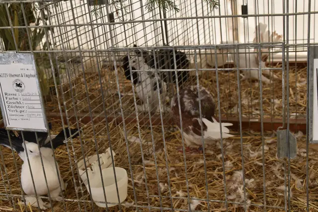 Foto: Michael Strini