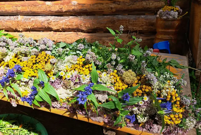 Foto: © Schwaighofer