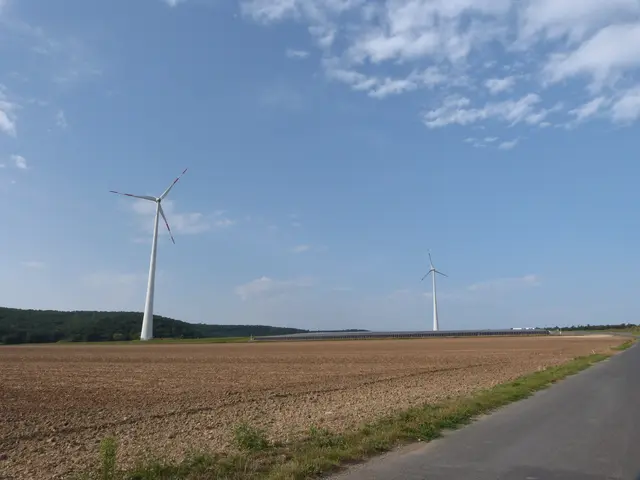 Foto: Vanessa Wittmann