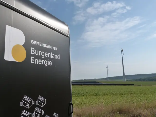 Foto: Vanessa Wittmann