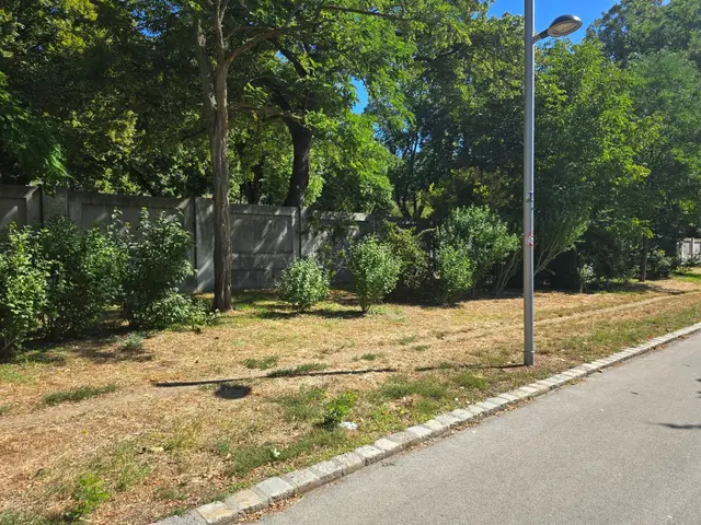 Das Gras in der Alszeile ist dürr und ausgetrocknet. Gepflegt wird es laut der Magistratsstelle jedoch regelmäßig.  | Foto: Ipirotis/MeinBezirk