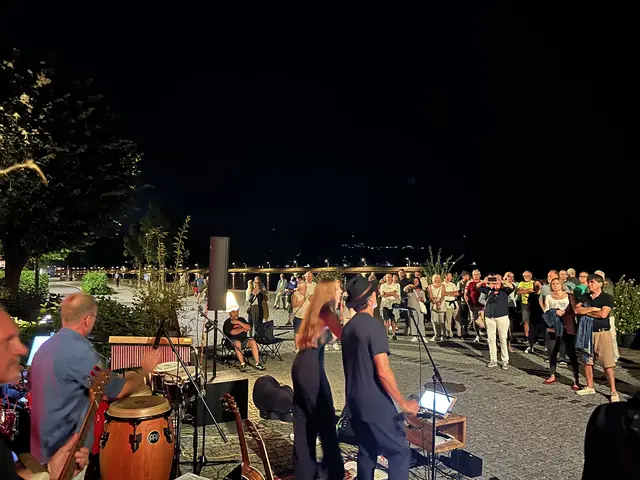 Beste Stimmung beim Ferien-Closing von Musik am Wasser auf der Ybbser Donaulände – rund 400 Besucher waren dabei. | Foto: Andreas Mistelberger-Obermberger