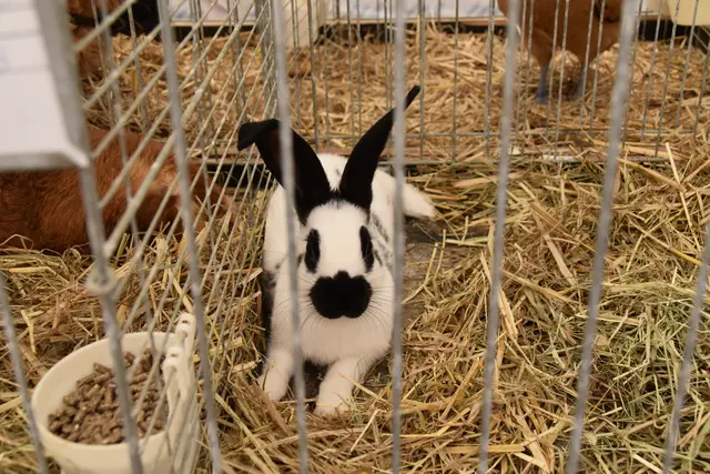 Foto: Michael Strini