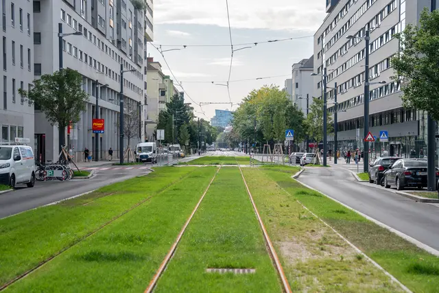 Rund 230 Meter der Neustrecke wurde als Grüngleis angelegt. | Foto: Valentina Marinelic/MeinBezirk
