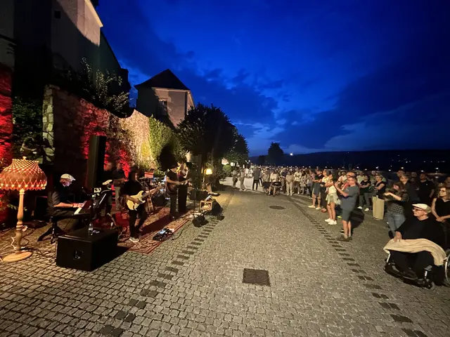 Beste Stimmung beim Ferien-Closing von Musik am Wasser auf der Ybbser Donaulände – rund 400 Besucher waren dabei. | Foto: Andreas Mistelberger-Obermberger