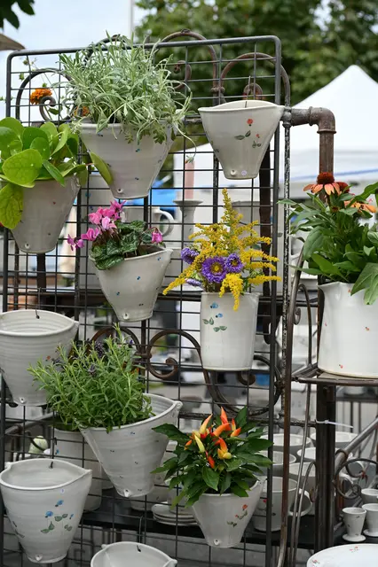 Foto: Wilfried Fischer