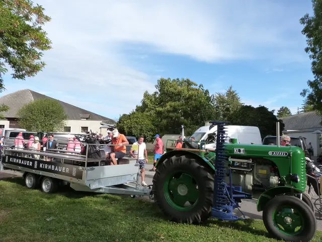 Foto: Vanessa Wittmann