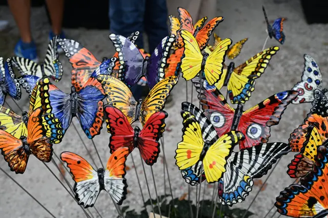 Foto: Wilfried Fischer