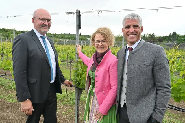 Landesgüterdirektor Erhard Kührer, Bildungs-Landesrätin Christiane Teschl-Hofmeister und Direktor Dieter Faltl im Weingarten der Weinbauschule Krems mit der Tropfbewässerung. | Foto: Jürgen Mück