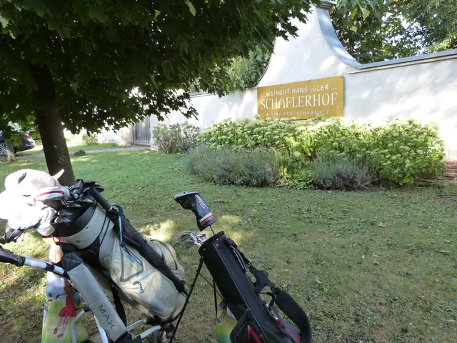 Foto: Vanessa Wittmann